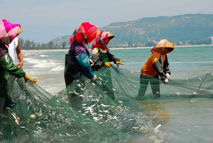 中国过度捕捞抢夺别国渔业资源