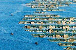 远洋捕捞,现代化水产养殖 宁波向大海要宝藏-水产养殖,远洋渔业-中国
